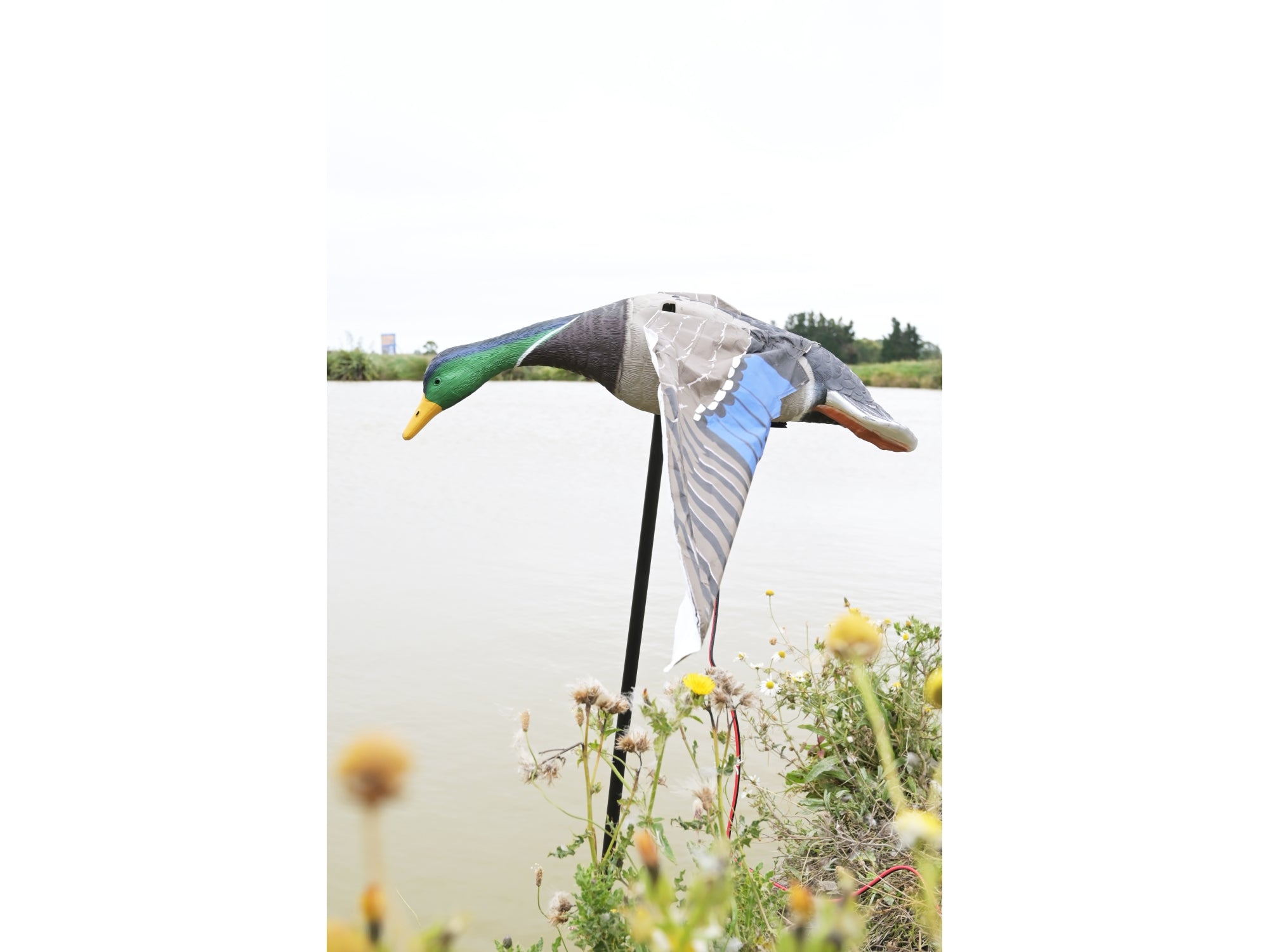 Game On Motorised Mallard Decoy With Remote Control