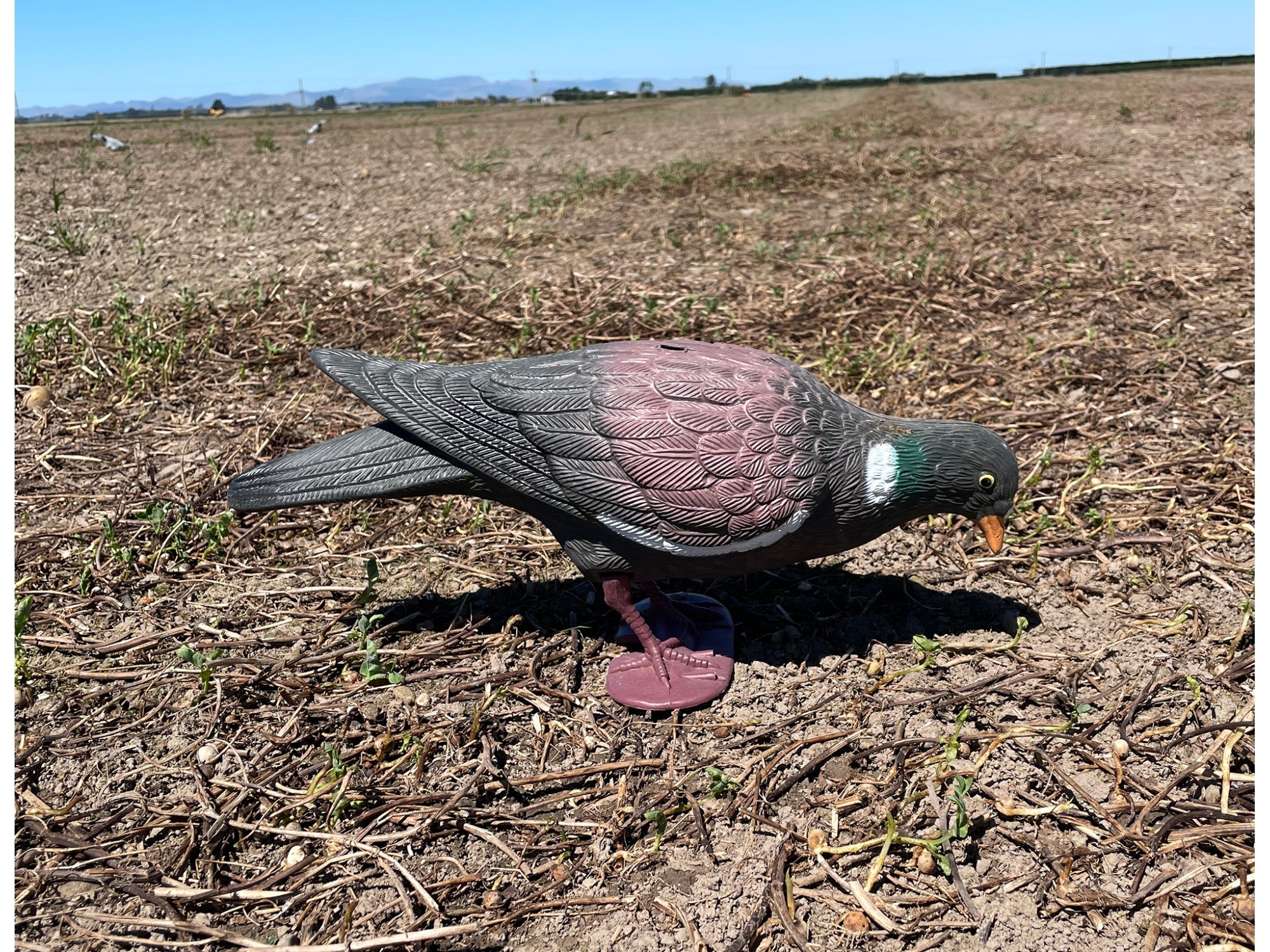 Outdoor Outfitters Pigeon Decoy Full Body 38cm With Stake