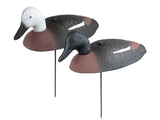 Paradise Foam Shell Duck Decoys 12-Pack - 46cm
