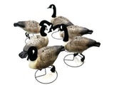 Terminator Canada Goose Full Body Pro Grade Decoys 6-Pack