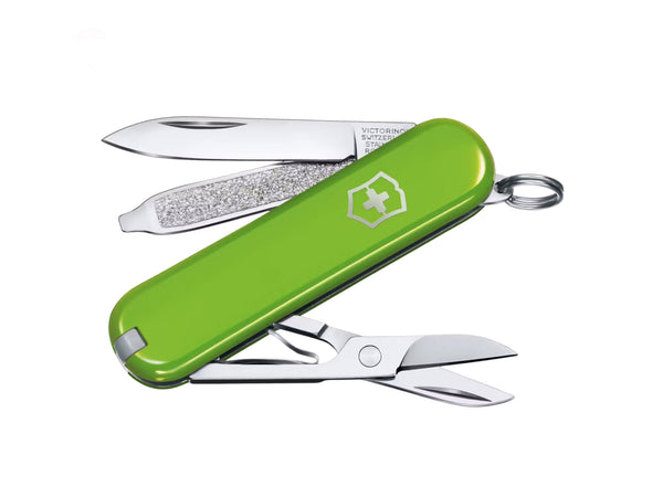 Victorinox Classic SD Pocket Knife | Smashed Avocado Green