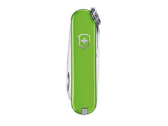 Victorinox Classic SD Pocket Knife | Smashed Avocado Green