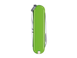 Victorinox Classic SD Pocket Knife | Smashed Avocado Green