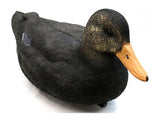 Game On Black Duck Decoy 20in Magnum Duck Decoys 6 Pack