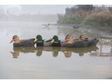 Game On Magnum Mallard Flocked Body Decoy Family 6 Pack 20 Inch