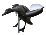 Wind Driven Landing Paradise Drake Decoy | Wind Activated