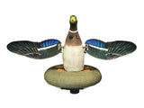 Higdon XS Splashing Flasher Mallard Drake Decoy