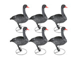 Game On Full Body Field Black Swan Decoy 6 Pack
