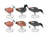 Game On Paradise Duck Full Body Flocked Decoys 6 Pack | 20 Inch