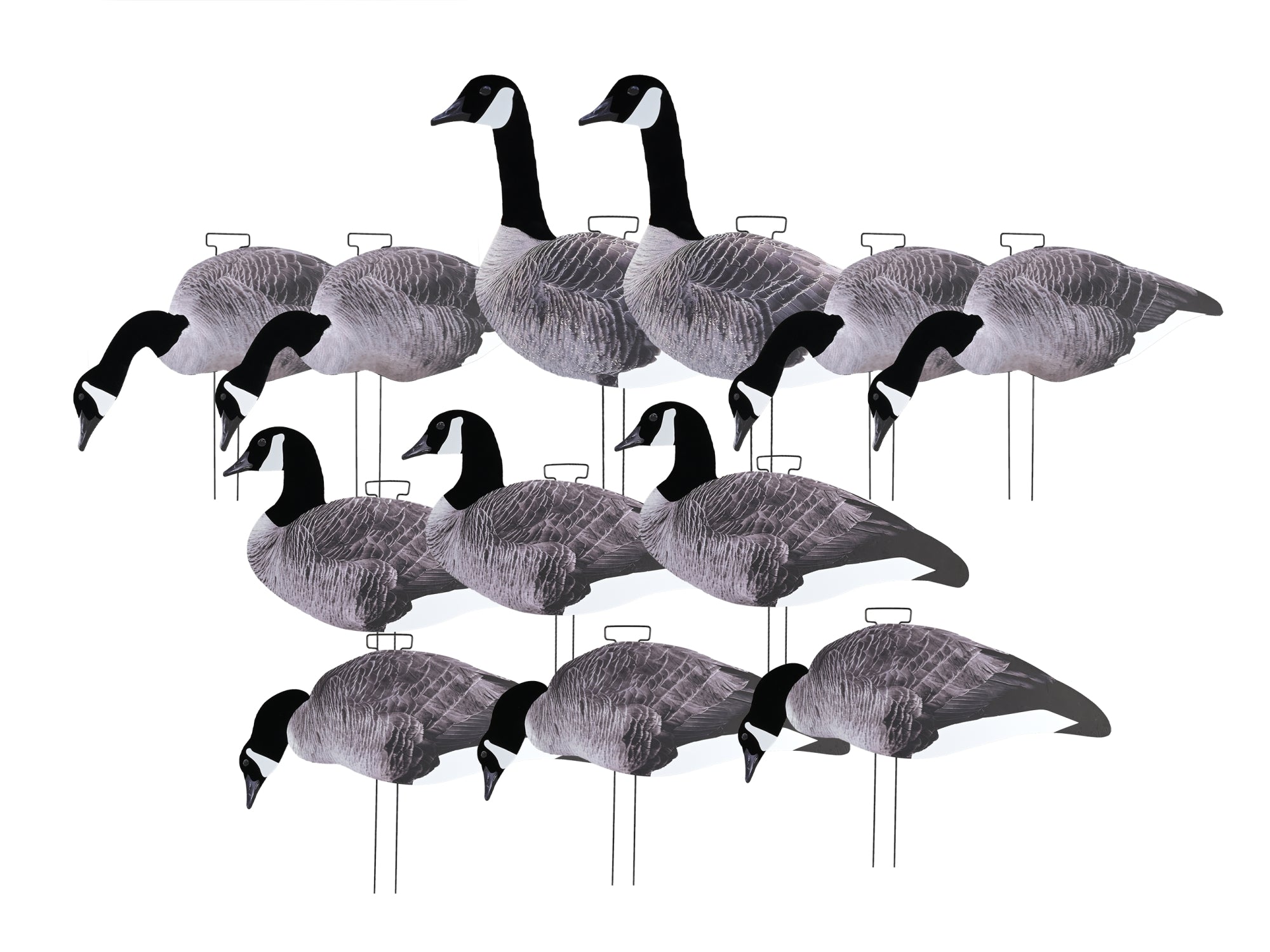 Game On Canada Goose 2D Silhouette Decoys 12 Piece Pack