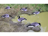 Game On Canadian Geese 2D Silhouette Decoys x12