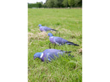 Game On Pigeon 2D Silhouette Decoys x12