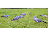 Game On Pigeon 2D Silhouette Decoys x12