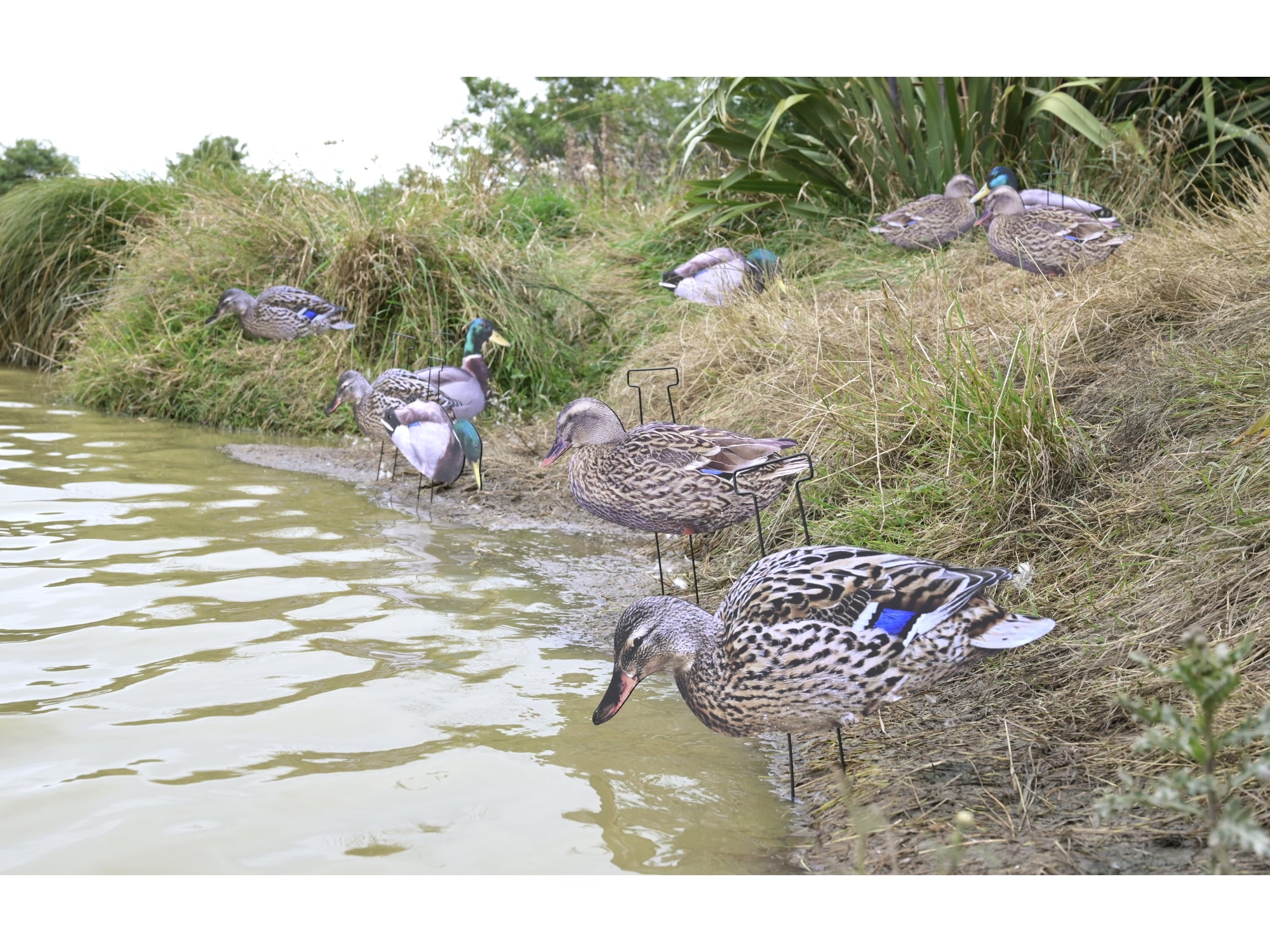 Game On Mallard 2D Silhouette Decoy Set 12 Pack