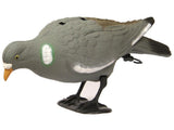Outdoor Outfitters Pigeon Decoy Full Body 38cm With Stake