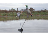 Terminator Twin Tornado Decoy Machine with Two Flying Mallard Decoys