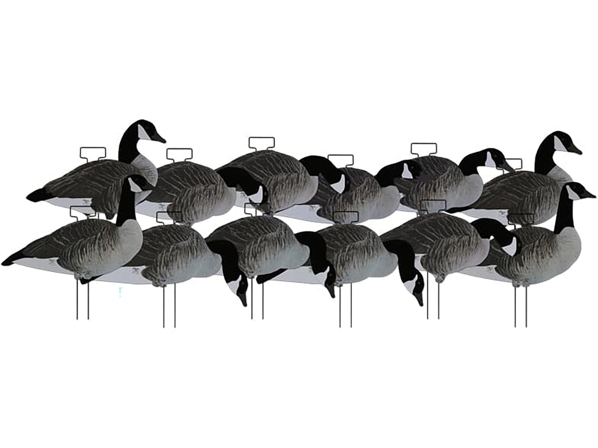 Dakota X-Treme Canada Goose Silhouette Decoys 12-Pack Flocked Head Tail