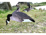 Dakota X-Treme Canada Goose Silhouettes Flocked Head & Tail x12 Set