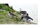 Dakota X-Treme Canada Goose Silhouettes Flocked Head & Tail x12 Set