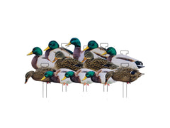 Dakota X-Treme Mallard Silhouettes Fully Flocked | 8 Drakes & 4 Hens