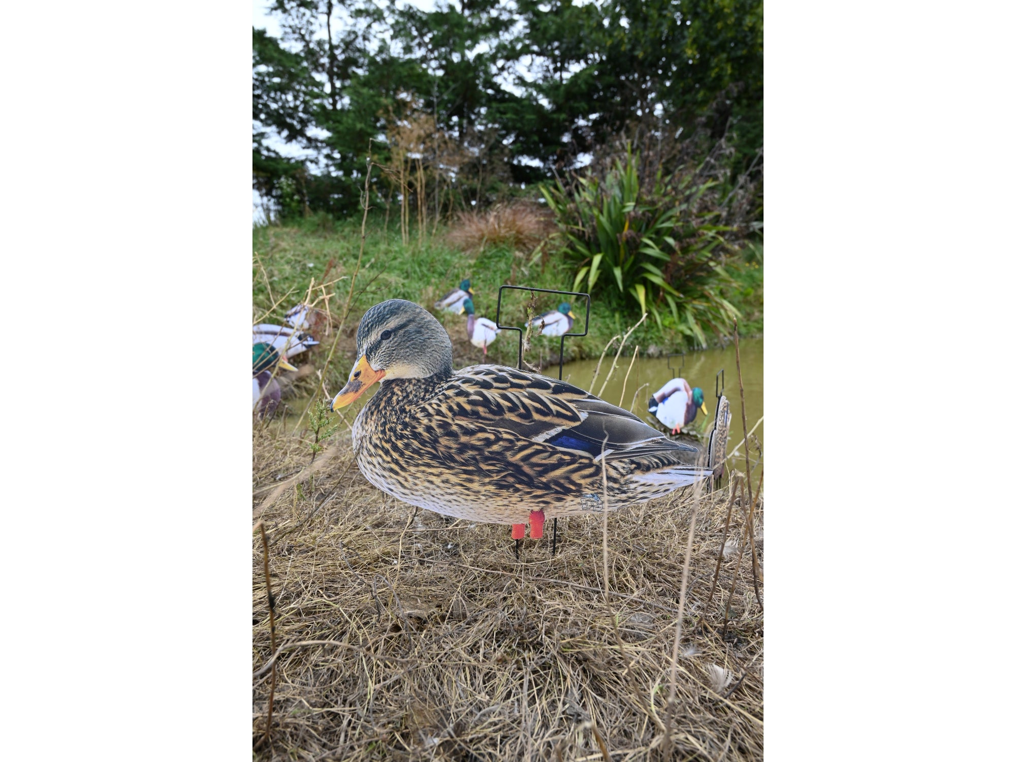 Dakota X-Treme Mallard Silhouettes Fully Flocked