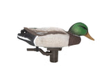 Higdon Pro Swimmer Mallard Drake Decoy