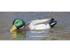 Higdon Pro Swimmer Mallard Drake