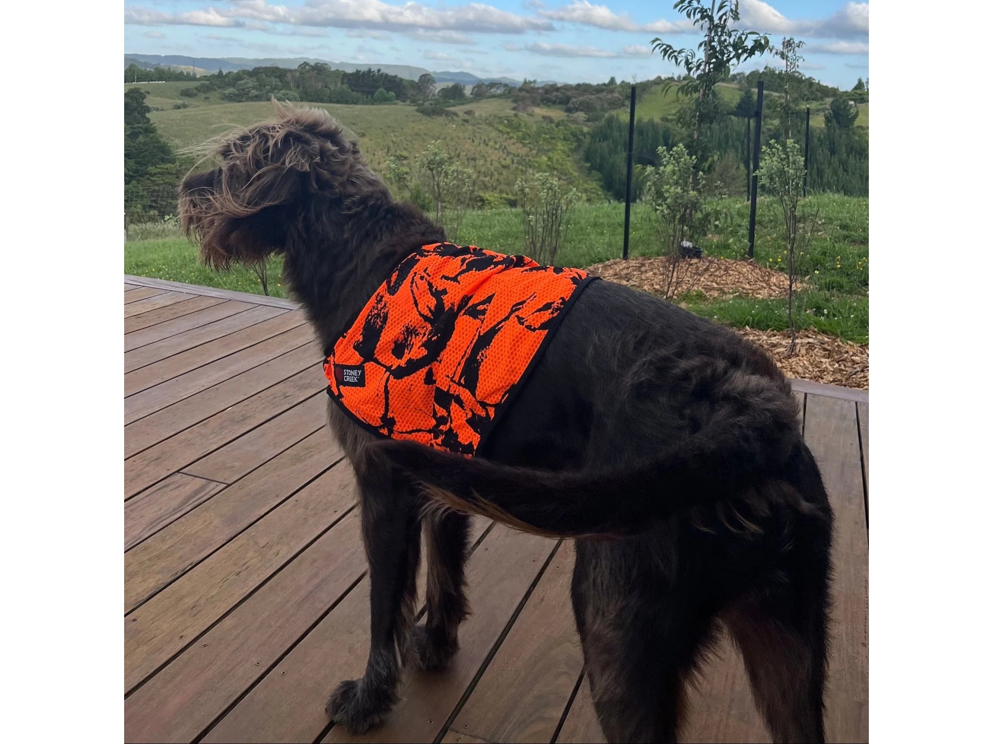Stoney Creek Airmesh Dog Vest High-Visibility | Blaze Orange